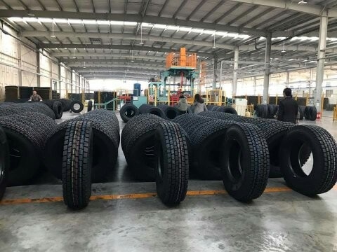 Pneumatici del bus del camion